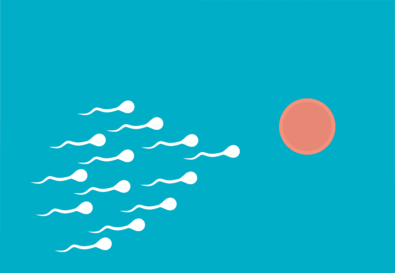 fertilization, sperm, medical, procreation, fertilize, swim, pregnancy, fertility, dna, human, biology, health, symbol, cell, egg, fertile, genetic, insemination, birth, cartoon, sperm, sperm, sperm, sperm, sperm