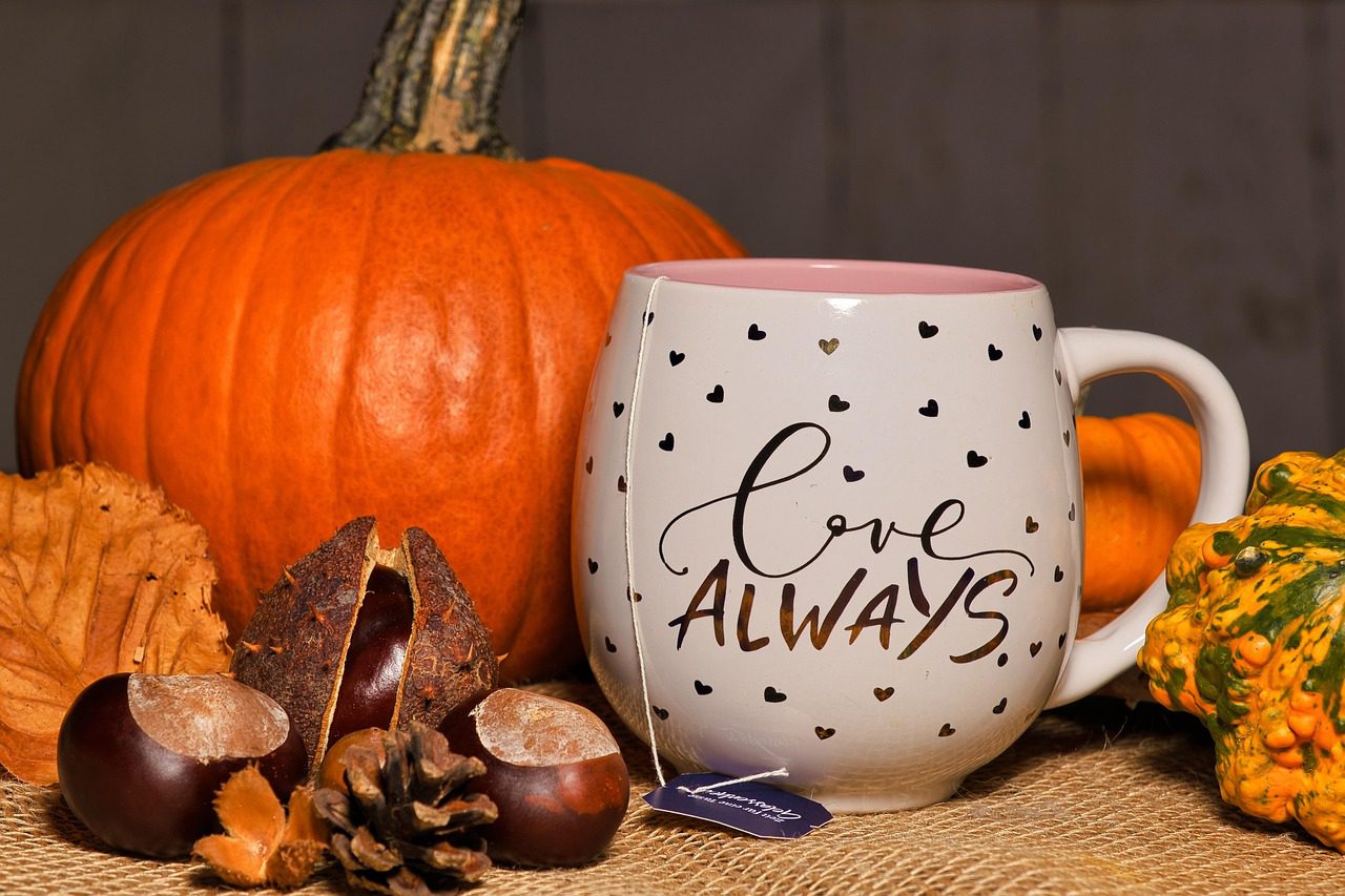 fall, autumn, fall season, season, tea, teacup, pumpkins, organic, tea time, chestnuts, autumn decoration, rustic, mug