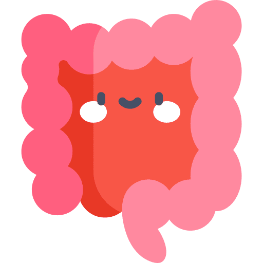 large-intestine