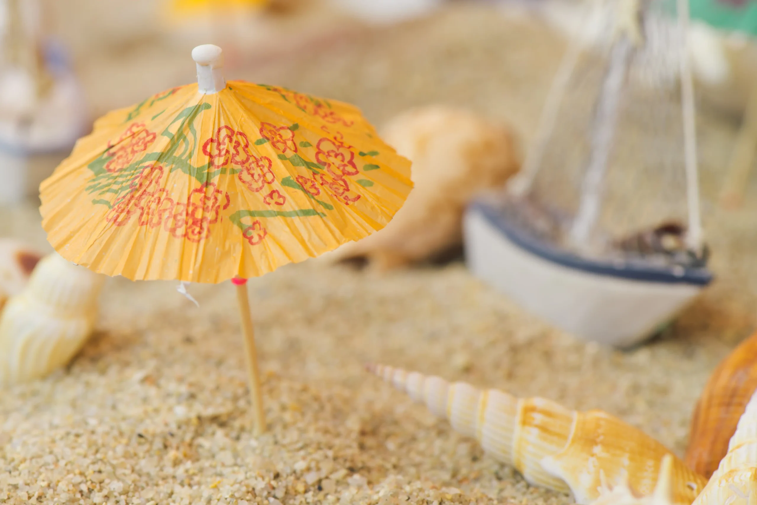 boat-and-sea-shells-on-sandy-tropical-beach-2024-11-02-05-57-26-utc