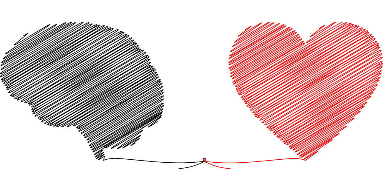 brain-5371476_1280